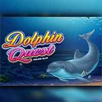 Dolphin Quest